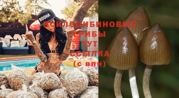 2c-b Навашино